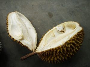 Avattu durian. 