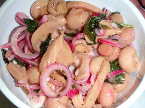 Marinoidut herkkusienet.