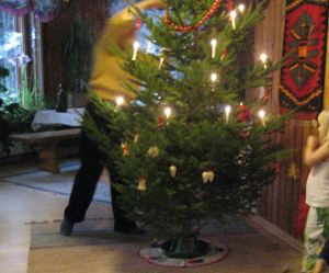 Joulukuusen laittamista vuonna 2006. 