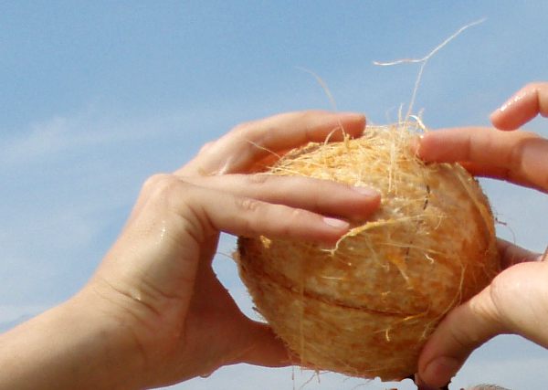 kookospähkinä kuorittuna