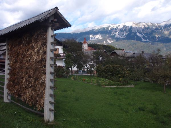 Heinänkuivausta Bledin ympäristöstä.