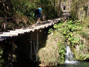 Polutkin oli onnistuttu tekemään puistossa viehättäviksi. 