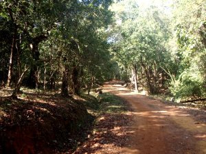 Autotie Cotigaon sisällä. 