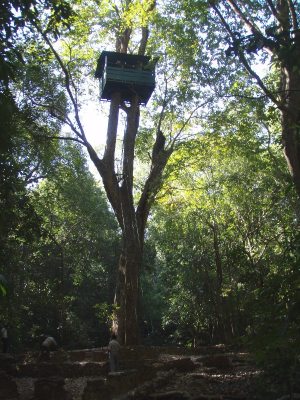 Tähystelytorni Cotigaolla.