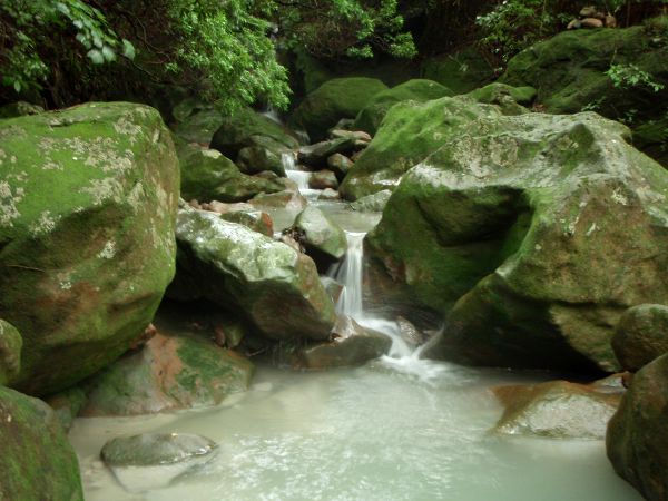 Nätti luonnonmuodostelma polun varrelta. 