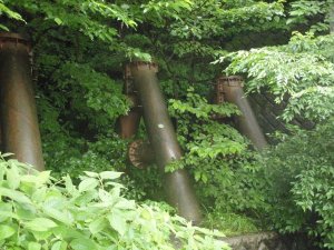 Näin metsässä isoja putkia, joiden arvelen tuovan kuumaa vettä kukkuloiden lähteiltä kylpylöihin. 