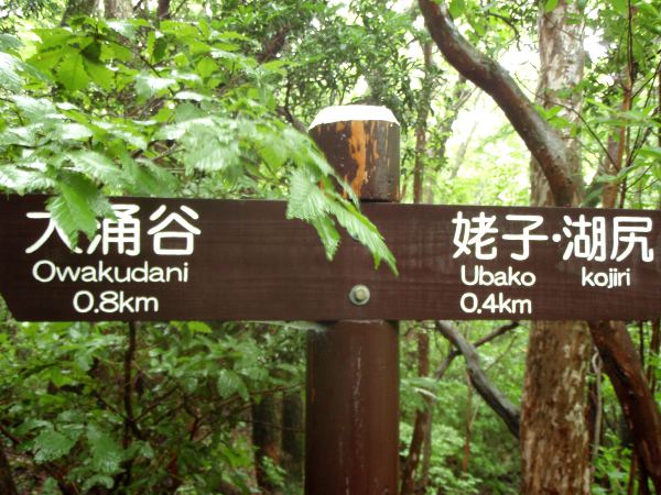 Polku alas oli hyvin opastettu. 