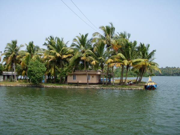 Niemi tai saari backwatersilla. 