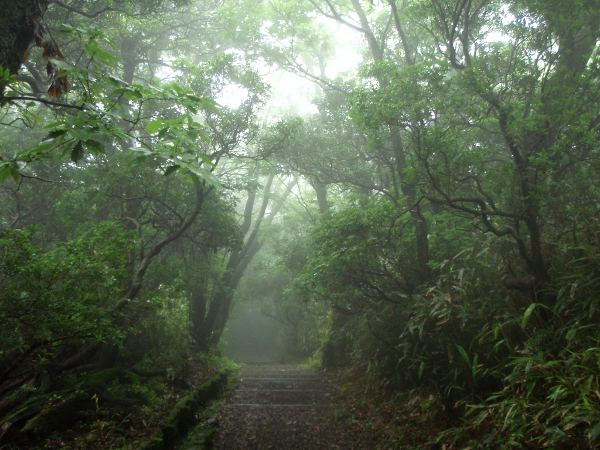 Polku alas Õwakudanista Tõgendaihin. 