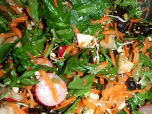 Nyt on tullut ostettua kaupoista mitä vain kasviksia vaihtelun saamiseksi. Tässä retiisiä, josta tuli uusi kaveri. 