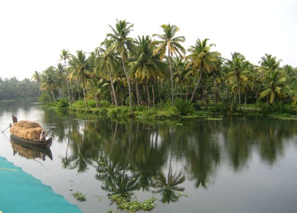 vene ja palmuheijastus