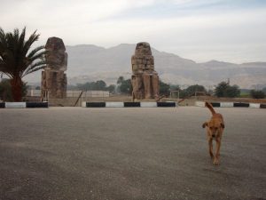 Ystävällinen koira, jonka tapasimme odotellessamme taas jotain päivän päätteeksi. Muinaisjäänteitä Luzorissa riitti, kun näitäkään ihme patsaita ei meille kummemmin esitelty. Jossain muualla ne olisivat suurnähtävyys.