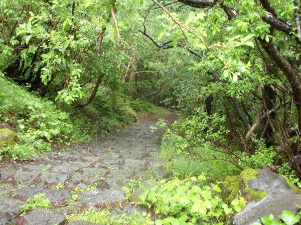 Polku alas melko lähellä (10 min päässä?) lähtöpaikkaani.