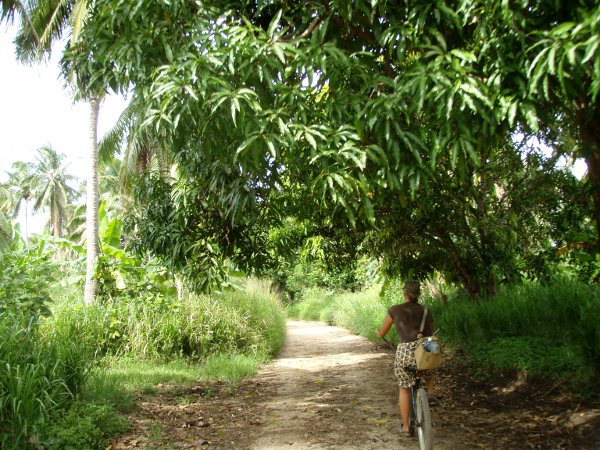 En kyllä jää odottamaan lottovoittoa tai sairastumista. 