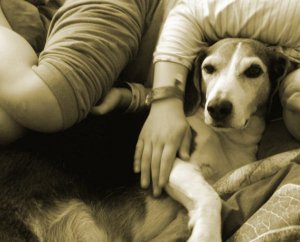 rakkaiden kanssa laatuaikaa