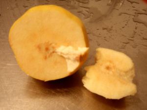Quince eli coing halkaistuna. Se muutti väriä ruskeammaksi halkaisun jälkeen. 