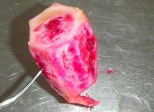 Kuorittu pinkki kaktusviikuna, näitä oli myös oransseina. 