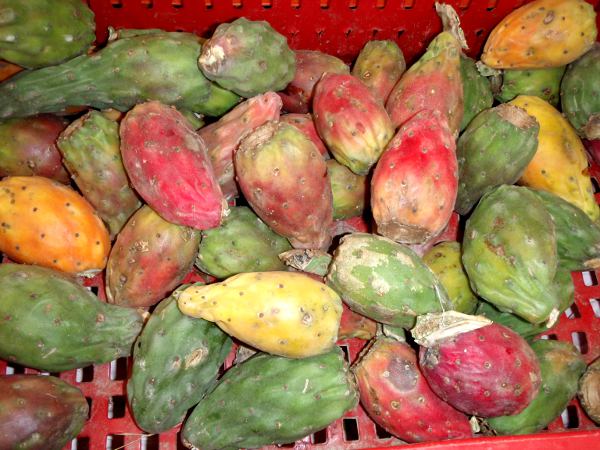 Kaktusviikunoita Tunisissa torilla. 