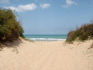 Meren ranta oli ehkä 200 metrin päässä hotellista. 