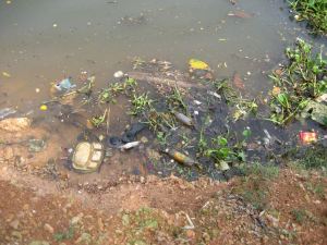 Roskia Intian Kollamissa. 