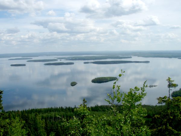 Kolin kansallismaisema. 