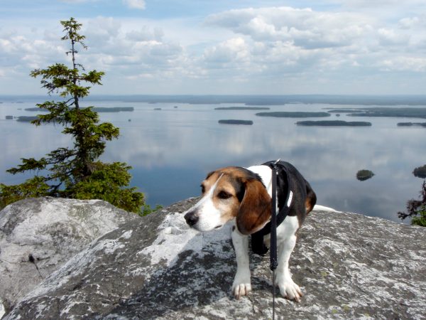 Veera Ukko-Kolin perinteisellä