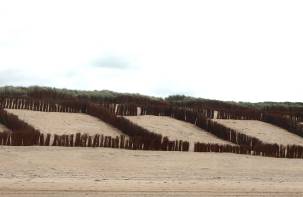 De Haanissa rantaa oli jaettu ihmeellisesti karsinoihin. Auttaa varmaan pitämään dyynejä paikoillaan, mutta kai joku muukin merkitys.