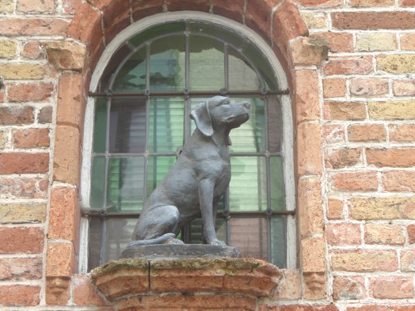 Belgiassa oli paljon koiria ja minä olin koirankaipuisena pakahtua. 