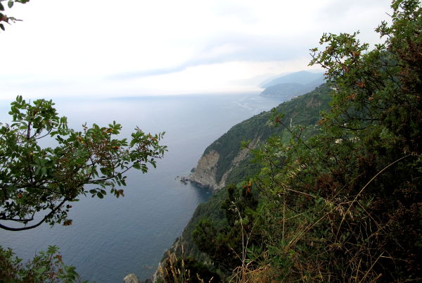 Rannikkoa Levanton suuntaan. Rannikko oli kurvikasta, koko ajan oli poukamia tai laaksoja. 