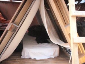 Nukkumiskoloni YesWeCampissa. 