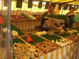 Sieniä Marche Bastillessa.