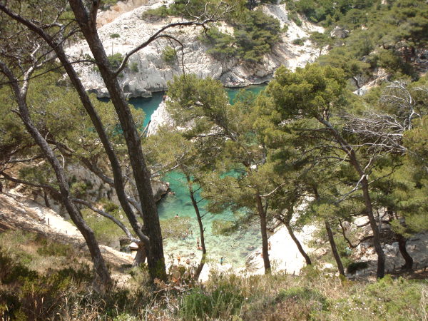 Sugitonin lahti lehvien läpi. 