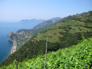 Näkymä Cornigliaan päin matkalla Manarolasta sinne.