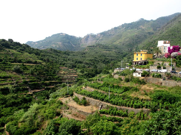 Pengerretty laakso Cornigliassa. 