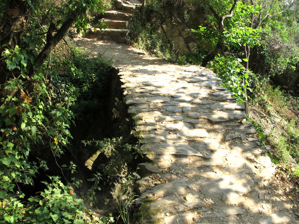 Välillä polut olivat rakennetumpia. 