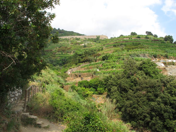 Porrasviljelmää matkan varrelta. 