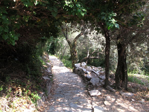 Polku puiden siimeksessä juuri ennen Cornigliaa. 