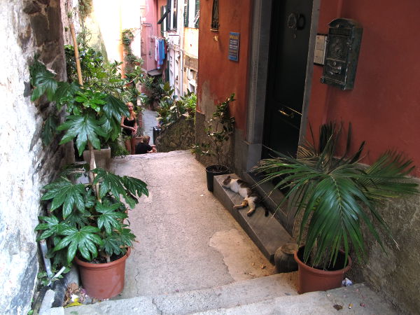 Vernazzan kujia. Tässä oikealla oli joku lukuisista turisteille vuokrattavista kämpistä. 