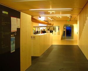 Haltian aula. Päädyssä sinisenä näkyy lyhyt käytävä, joka vei pääsaliin. Tuossa "lumitunnelissa" oli perinteisempää  museomaista näytteillepanoa täytettyine eläinasetelmineen. 