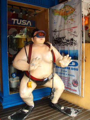 Sukellusohjaajaksi ryhtyminen voi olla vaihtoehto tulevaisuudessa, mutta ei vielä ensi keväänä. 