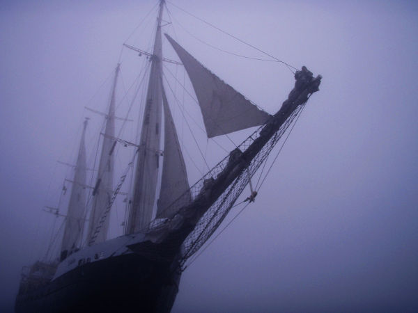 Estelle merellä. Kuva: Estelle / Uusi Tuuli ry