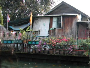 Minulle kelpaisi tällainen mökkerö bangkokilaisen khlongin varrelta. Mutta ei ole mitään tietoa, ovatko ne hinnoissaan sijaintinsa vuoksi vai nimenomaan siksi ei. 