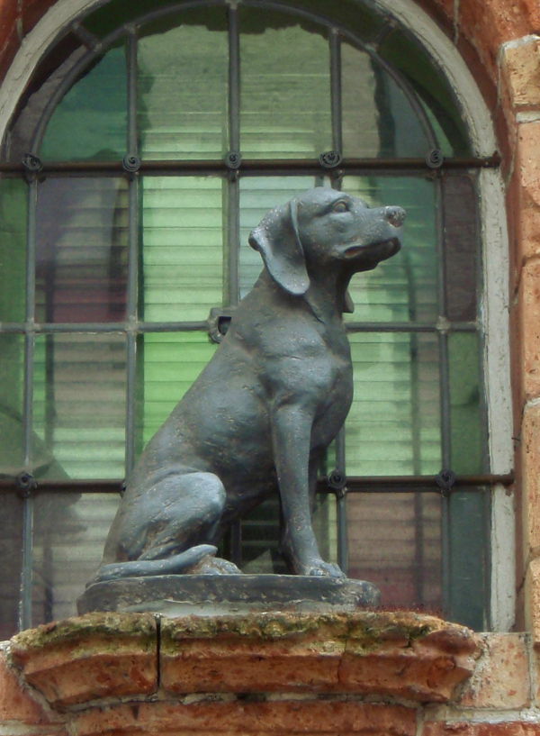 Koirapatsas Belgian Bruggessä. Belgiassakin pystyi aistimaan rennomman suhtautumisen koiriin. 