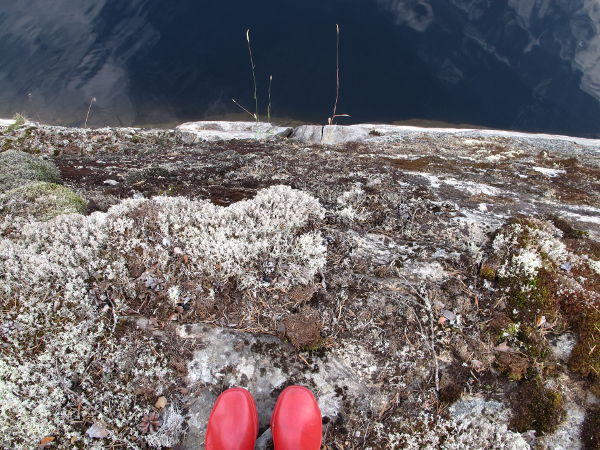 Saimaan saarissa on syytä käyttää kumppareita kyiden takia. 