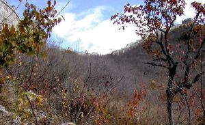 Muuri kulkemassa vuoren harjanteella. 