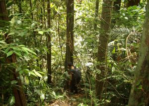 Välillä pitää päästä metsään. 