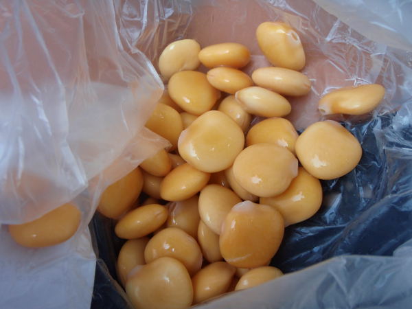 Proteiinipitoisia lupiineja myytiin Italiassa monin paikoin, Carrefourissa irtotuotteena. 