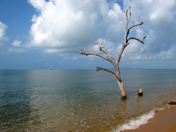 Jomtieniltä sai nättejäkin kuvia, jotka eivät kuitenkaan ihan vastaa sitä mitä ranta oikeasti oli. 
