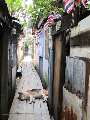 Phiman River Viewiin tarvitsee kulkea tällaista kujaa. Ylitin koiran, joka ei vaivautunut edes avannut silmiään. Banglamphun koirat ovat ystävällisiä ja ihania, mutta älä silti lähesty niitä itse, vaan pyydä ne luoksesi. Ne tulevat jos niitä kiinnostaa. 