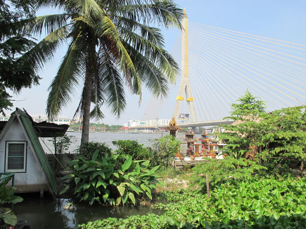 Uusi ja halvempi majapaikkani Banglamphussa sijaitsee Chao Phraya -joen rannalla. Pihalla on vettä ja vesikasveja. 